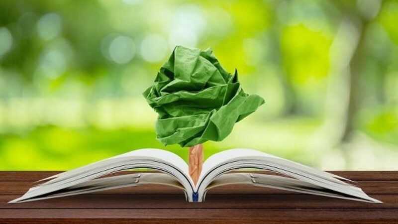 Día Mundial de la Educación Ambiental