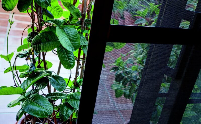 filtro de ventana Pure