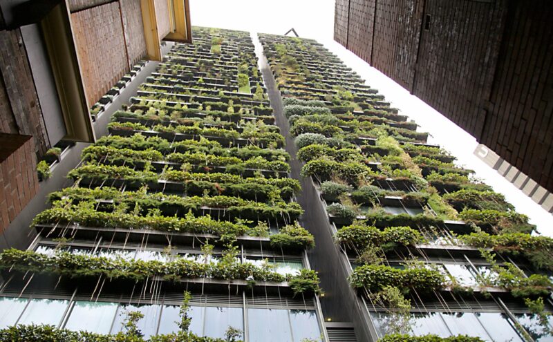 bioconstrucción
