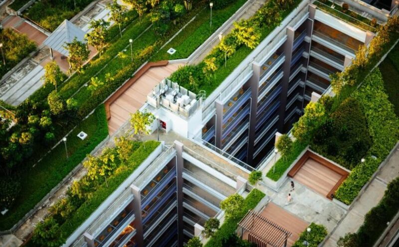 neuroarquitectura